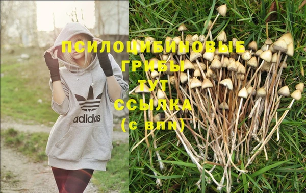 МДМА Зерноград